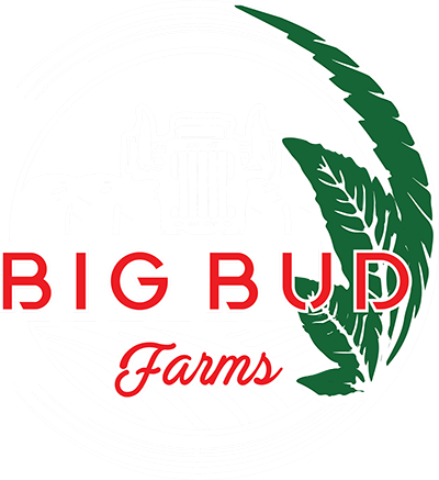 bigbudfarms--white-logo